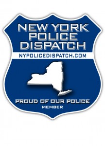 nypdd logo small